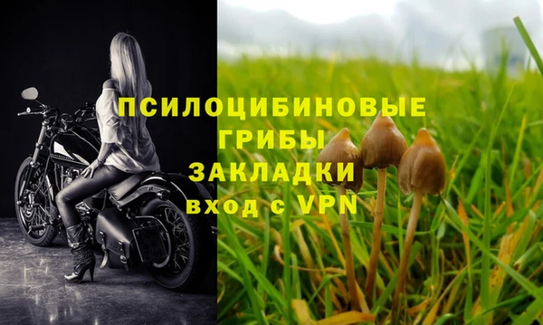 ГАЛЛЮЦИНОГЕННЫЕ ГРИБЫ Лагань